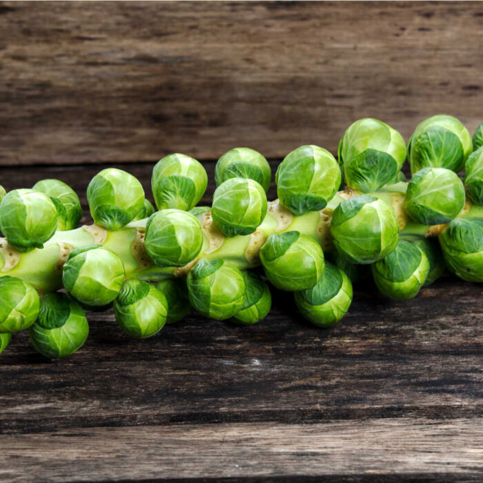 Turkish Natural Brussel Cabbage