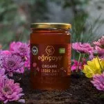 Turkish Natural Organic Cedar Honey - EÄricayır