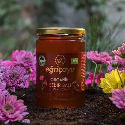 Turkish Natural Organic Cedar Honey - EÄricayır