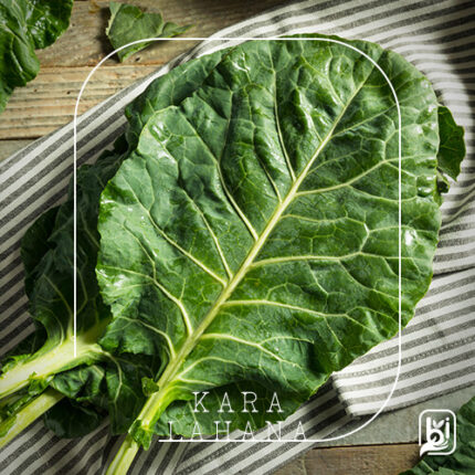 Turkish Natural Black Cabbage