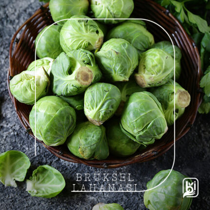 Turkish Natural Brussel Cabbage