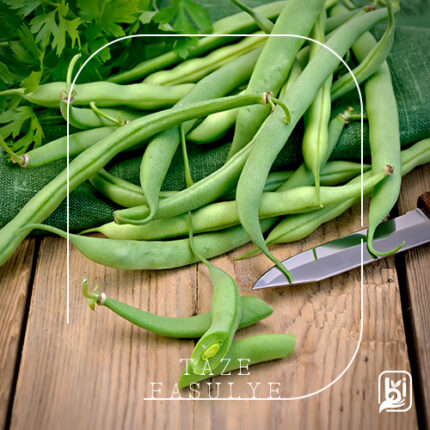 Turkish Natural Fresh Green Beans