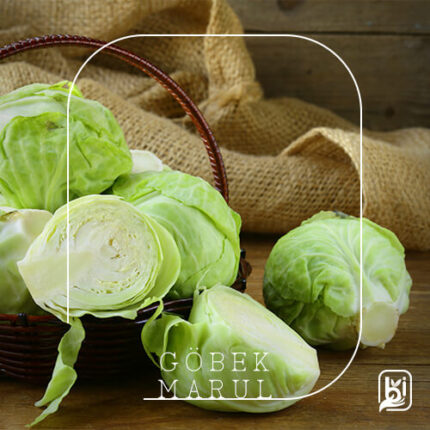 Turkish Natural Fresh Lettuce