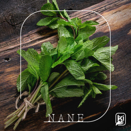 Turkish Natural Fresh Mint