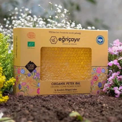 Turkish Natural Organic Honeycombs Honey - EÄricayır