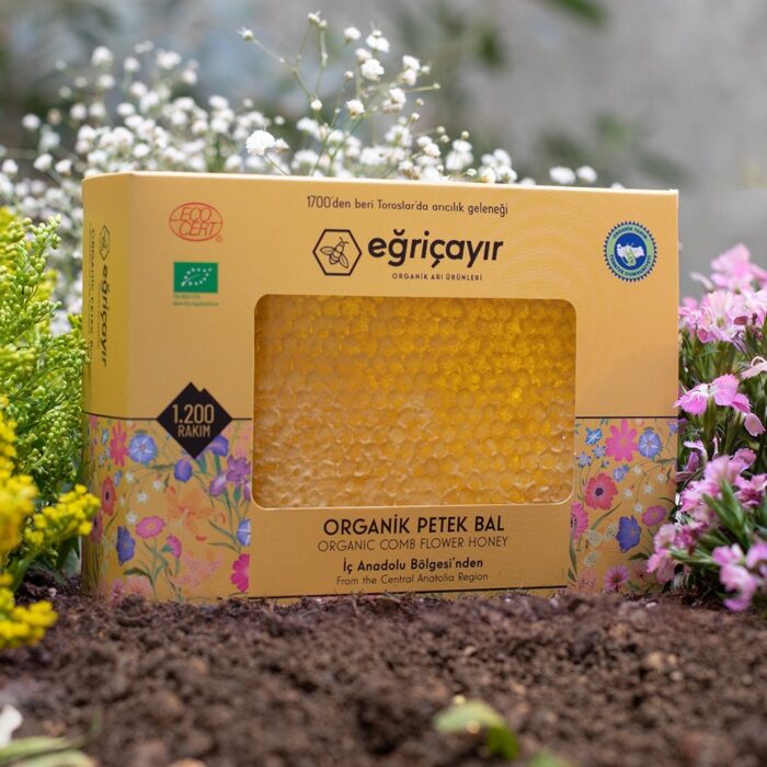 Turkish Natural Organic Honeycombs Honey - EÄricayÄ±r