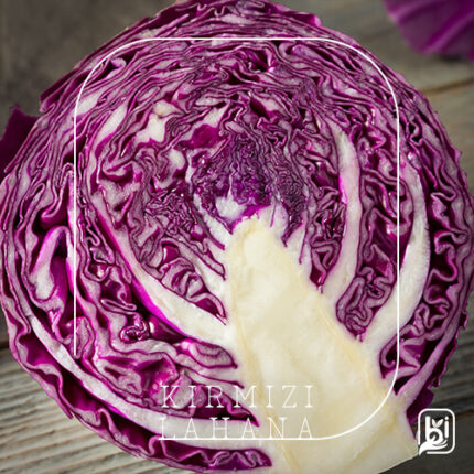 Turkish Natural Purple Cabbage