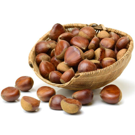 Turkish Natural Raw Chestnut (Kestane) - Large Size