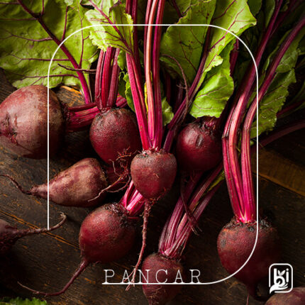 Turkish Natural Red Beet