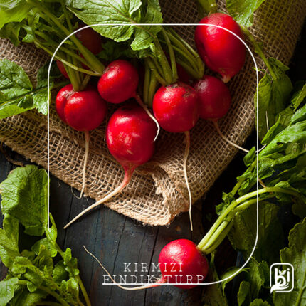 Turkish Natural Red Mini Radish