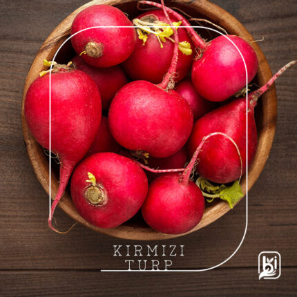 Turkish Natural Red Radish