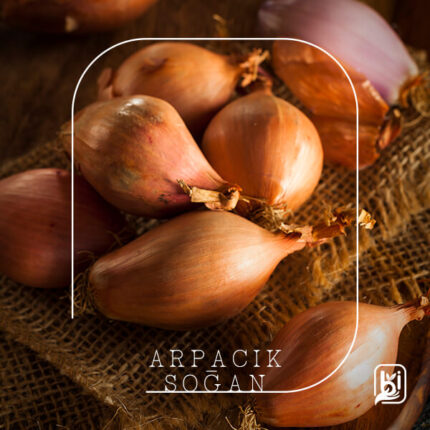 Turkish Natural Shallot