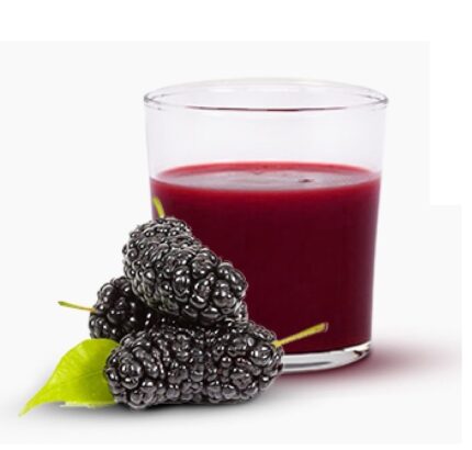 Turkish Organic Black Mulberry Syrup-Morus Nigra