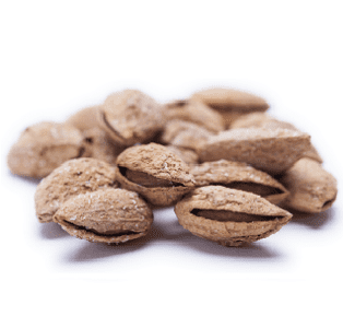 Turkish Almonds