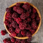 Turkish Natural Freeze Dried Blackberry