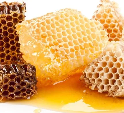 Turkish Natural Organic Karakovan Honeycombs Honey - EÄricayır
