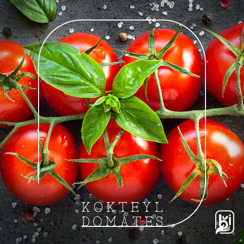 Turkish Natural Cocktail Tomato