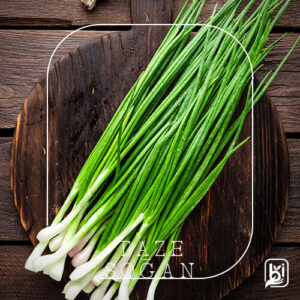 Turkish Natural Fresh Green Onion