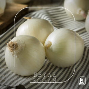 Turkish Natural White Onion