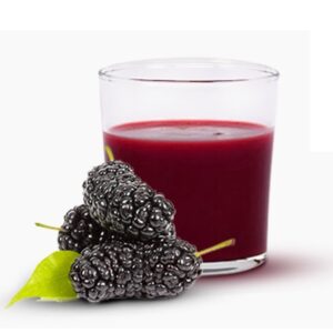 Turkish Organic Black Mulberry Syrup-Morus Nigra